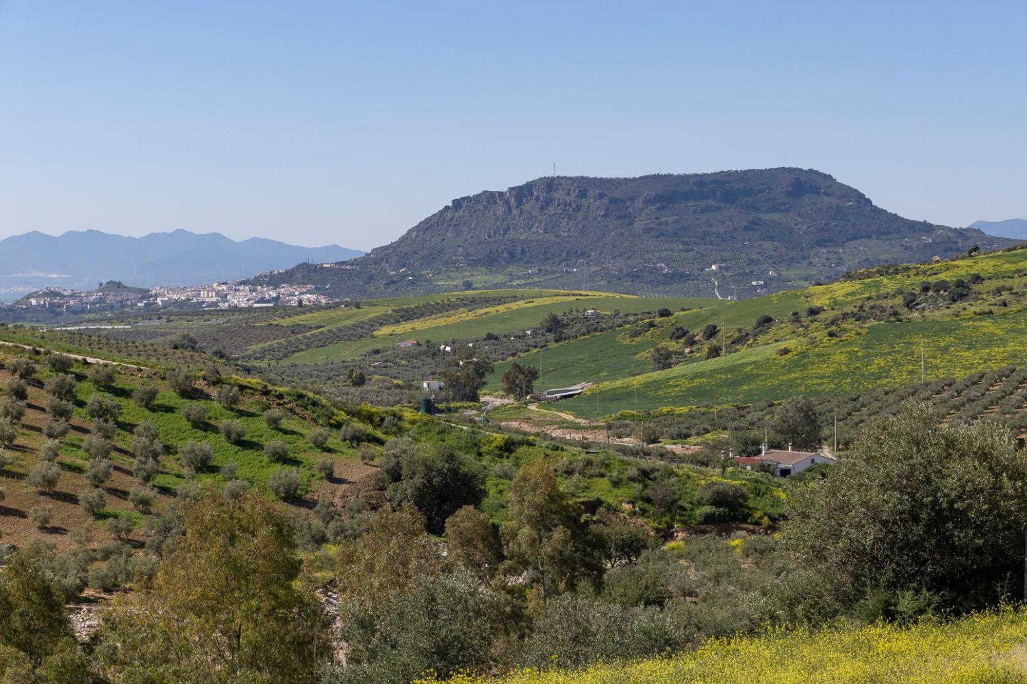 Cortijo Valverde Alora Buitenkant foto