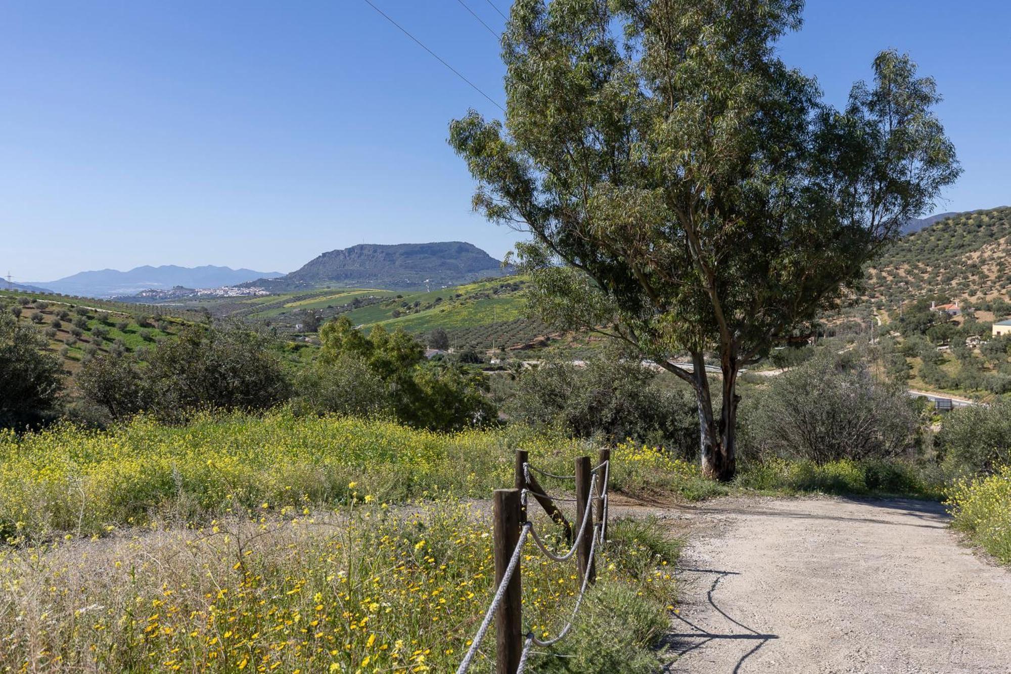 Cortijo Valverde Alora Buitenkant foto