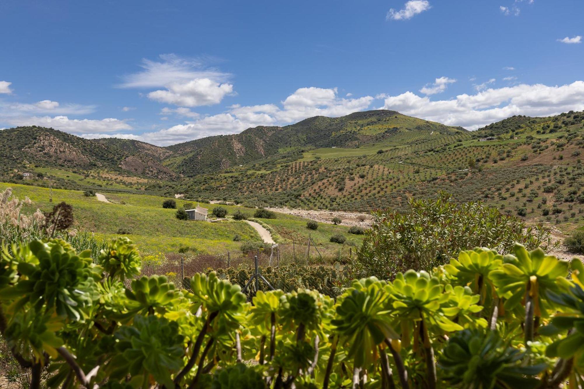 Cortijo Valverde Alora Buitenkant foto